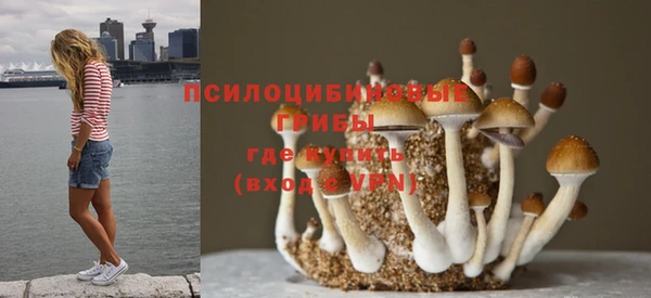круглые Алексеевка