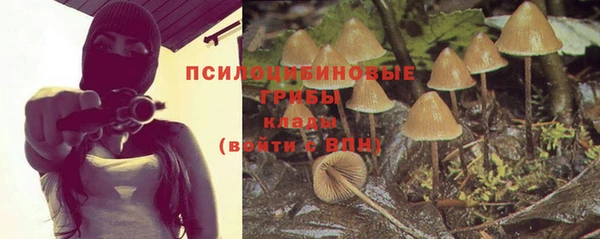 круглые Алексеевка