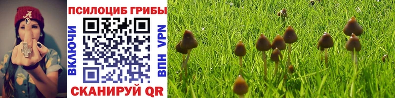 Псилоцибиновые грибы MAGIC MUSHROOMS Анадырь